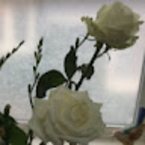 Meet your Posher, Rosemary